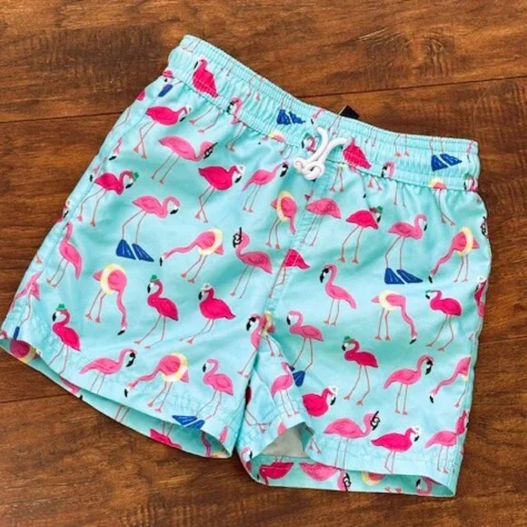 Janie and Jack Boys Size 4 Lot of 6 - 5 Shorts & 1 Swim Trunk - Picture 14 of 16